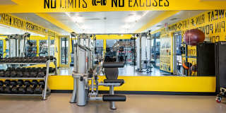 FLATZ 432 Gallery 18