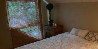 Prime Boulder Townhouse Near Pearl Street & Mt. Sanitas Gallery 8