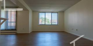 Huge 2 bed in Allston Gallery 1