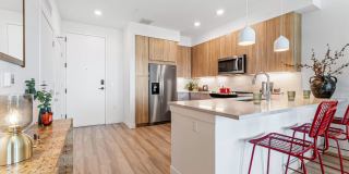 Aura Arts District Gallery 48