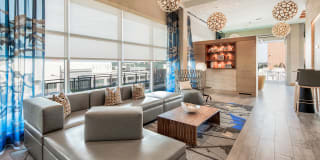 Insignia On M Gallery 18