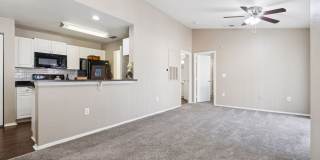 Vista Lake Ned Gallery 21