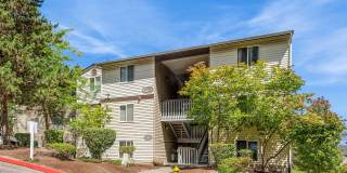 ReNew Waterview Gallery 40