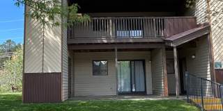 3 Bedroom / 1 Bathroom Condo on Avenida Del Sol Gallery 1