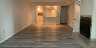 Lakeview Condo Available | Directly Across from Lake Hollingsworth Gallery 8