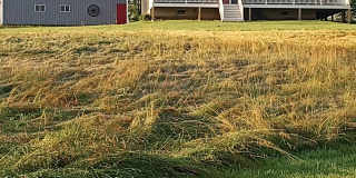 1052 Rock Lake Drive Gallery 1