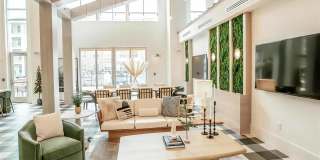 Alta Wren Gallery 22