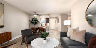 Larkspur Courts Gallery 40