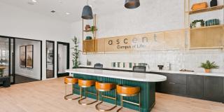 Ascent at Campus of Life Gallery 51