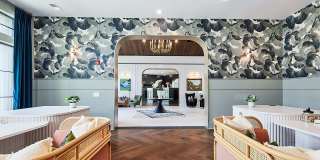 The Margot Gallery 61