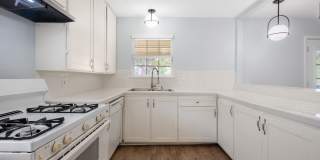 Modernized 3 Bedroom Home Near Mueller ~ Huge Backyard & Deck Gallery 15