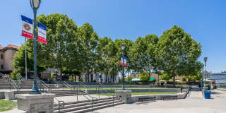 The Braydon Gallery 76