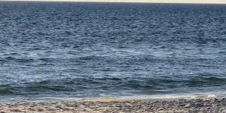 2519 Beech St Gallery 41