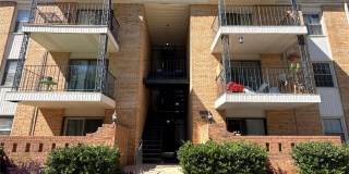 4739 Hedgemore Drive Gallery 1