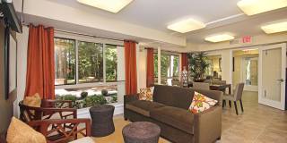 Reston Glade Gallery 21