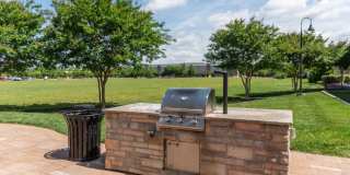 Red Knot at Edinburgh Gallery 49