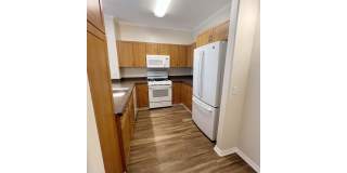 Mission Hills Commons Gallery 26