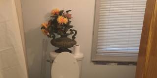 4025 Green St Unit -1 Gallery 7