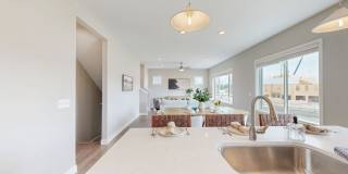 Wildwood Gallery 7