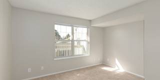 Arcadia Apartments Gallery 8