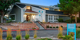 Avens Point Gallery 1