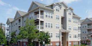 Avalon Tysons Corner Gallery 44
