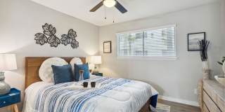 The Ace Apartments Gallery 1