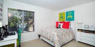 River Ranch Gallery 65