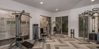 One41 Wellington Gallery 6