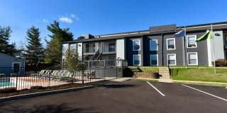 The Element Gallery 49