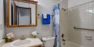 Russian Jack Gallery 5