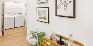 The Margot Gallery 12