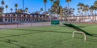 Lumina on 19th Gallery 3