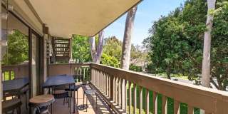 9 Madrona Gallery 25