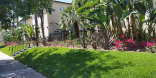 South Olive Gallery 11