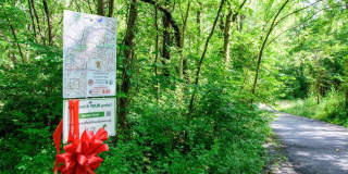 12000 ROSIERS BRANCH Drive Gallery 24
