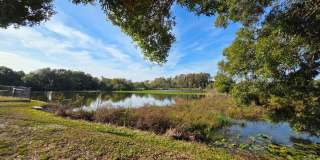 Furnished 2-Bedroom, 2-Bathroom Condo in Tampa Gallery 21