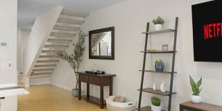 3054 Rue Dorleans Gallery 11