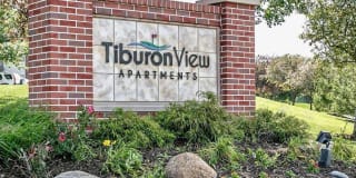 Tiburon View Gallery 25