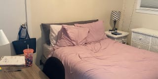 121 Doll Parkway - A Gallery 3