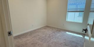 22316 Spanish Oak Court Gallery 13