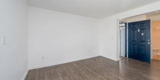 Olympic Village Gallery 11