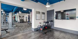 Cadence Music Factory Gallery 22