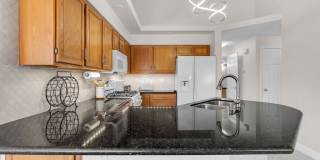 1545 Lake Placid Terrace Gallery 5