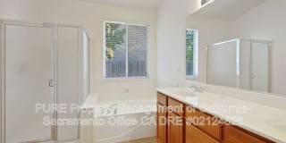 1732 Bamboo Street Gallery 18