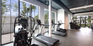 The Bohemian Gallery 25