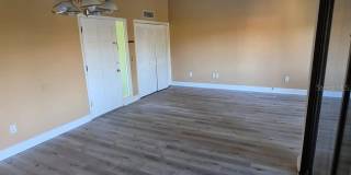 4158 PINELAKE Lane Gallery 11