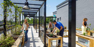 Affordable Housing - Atworth Gallery 21