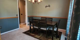 Gorgeous 4 Bedroom Home For Rent in Avon Gallery 8