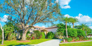 15835 Meadow Wood Drive Gallery 16